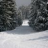 Onnion 2006 383